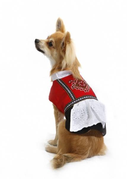 Bunad til hund