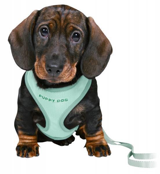 Mint mesh valpesele med lenke