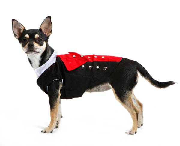 Bunad til hund