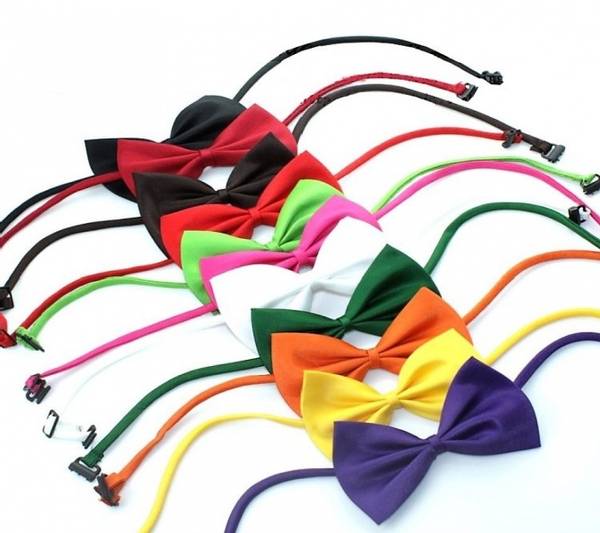 Hunde- og kattesløyfe - bowtie