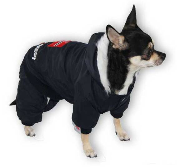 Vinterdress til hund – Dogs of Norway hundedress