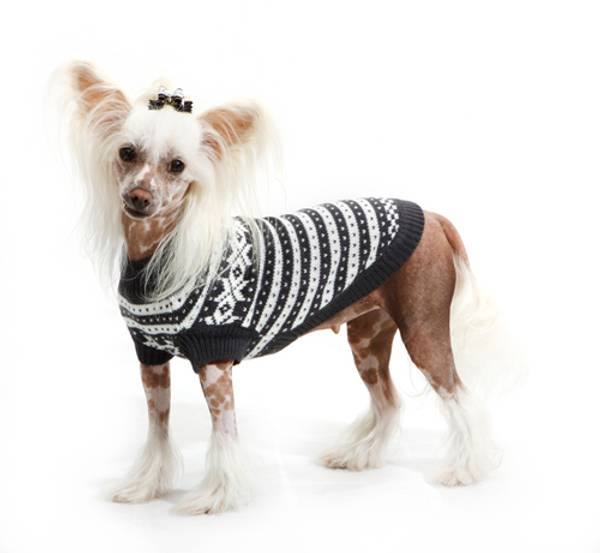 Mørk grå fanakofte for hund 70% ull