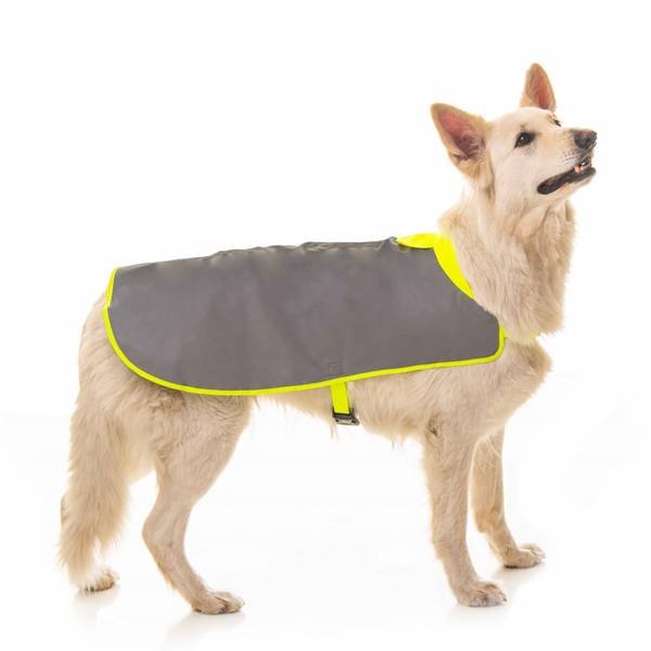 100% refleksdekken til hund