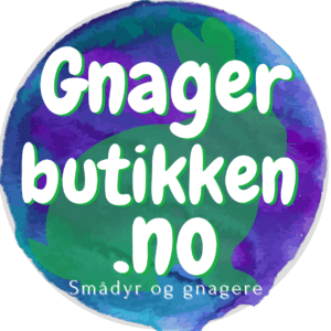 Glossybox – den mest engasjerende skjønnhetsesken i Norge!