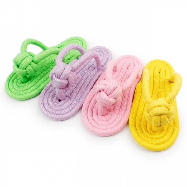 Liten flip-flop tauleke til hund