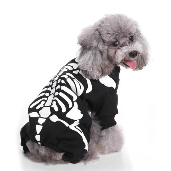 Hel hundedress skjelett