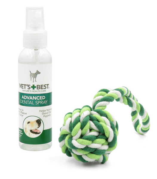 Tannspray til hund + tauleke