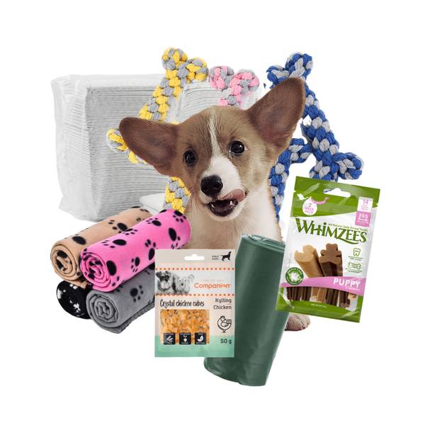 Valpepakke - Liten hund