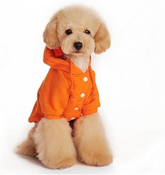 Oransj hettegenser med knapper til hund