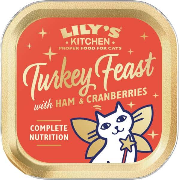 Lily's Kitchen Christmas turkey feast