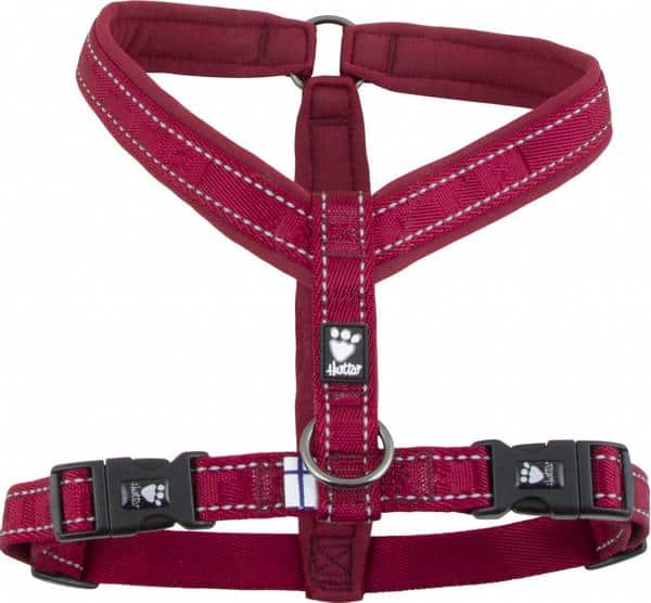 Lingon Hurtta Casual Y-sele