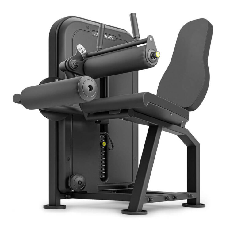 Seated Leg Curl