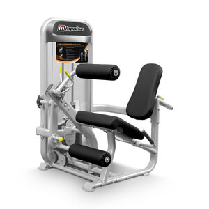 Leg extension/leg curl
