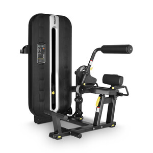 Lower Back Extension