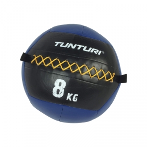 Wall Ball 8 kg Blue