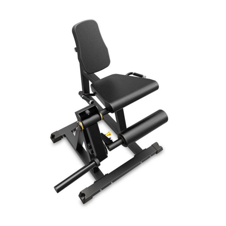 Leg Extension