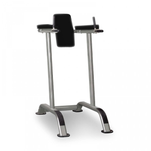 Vertical Knee Raise IT7010