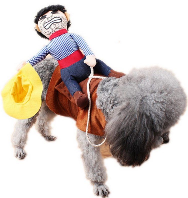 Cowboy hundekostyme (M)