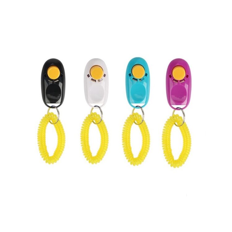 Klikker for hund med håndspiral (Turkis)