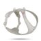 Curli Belka Air Mesh hundesele (11-48 kg) - Beige (4XL)