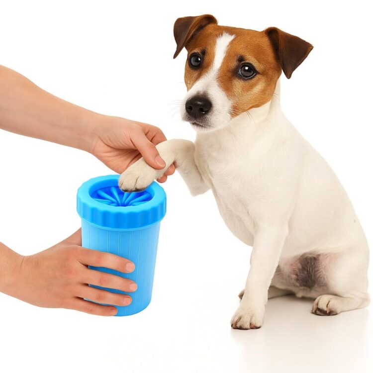 Small Blå Poterenser til hund