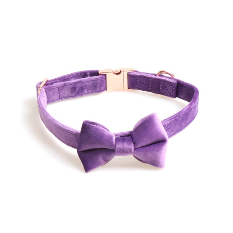 Lilla velur design halsbånd med sløyfe til hund (L)