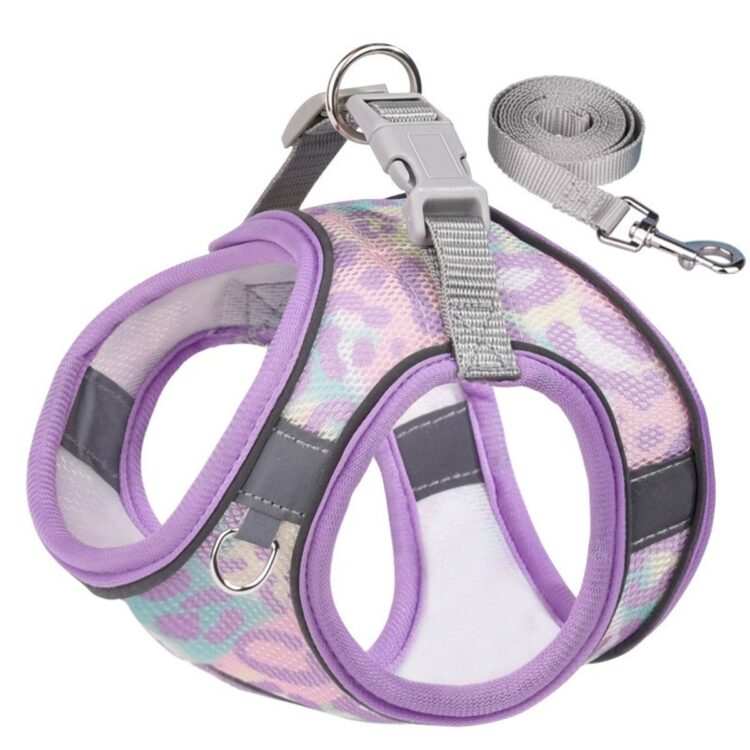 Premium Leopard candy mesh hundesele med lenke (L)