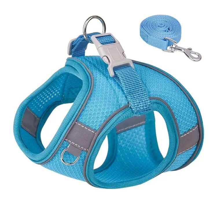Premium turkis mesh hundesele med lenke (L)