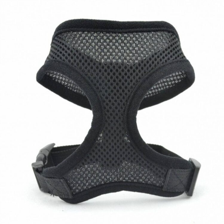 Sort sele til hund og katt i mesh (XL)