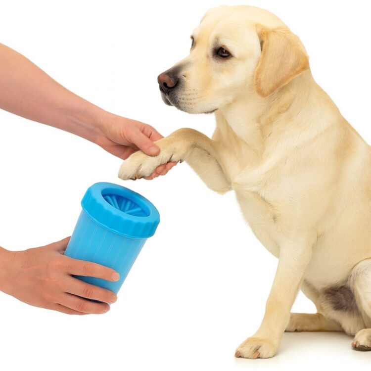 Large Blå Poterenser til hund