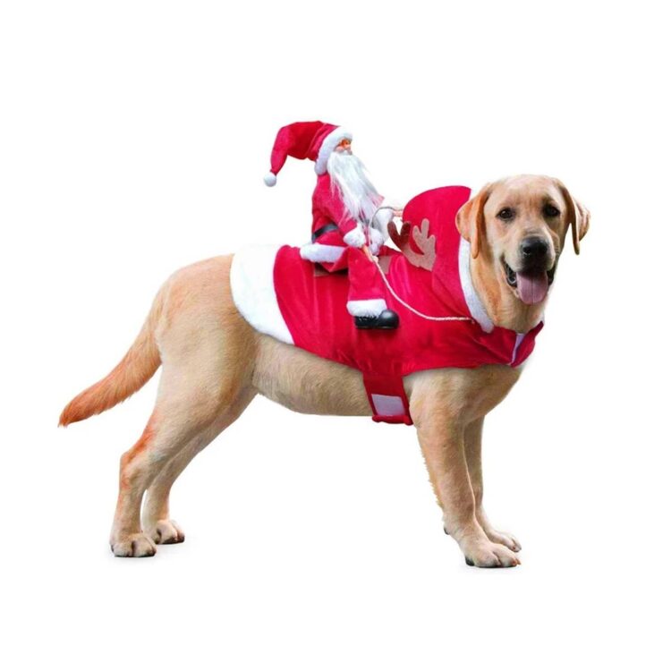 Hundekostyme til jul - julenissen som rir på reinsdyr (XXL)