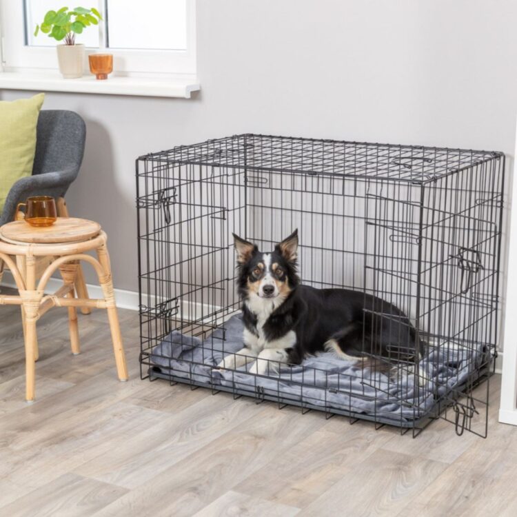 Stålbur Home Kennel til hund og katt