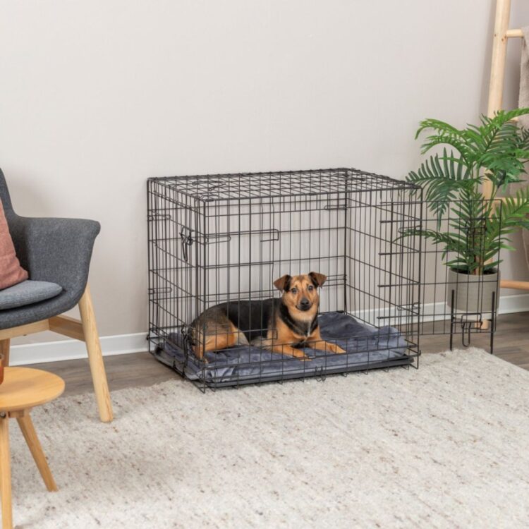 Stålbur Home Kennel til hund og katt