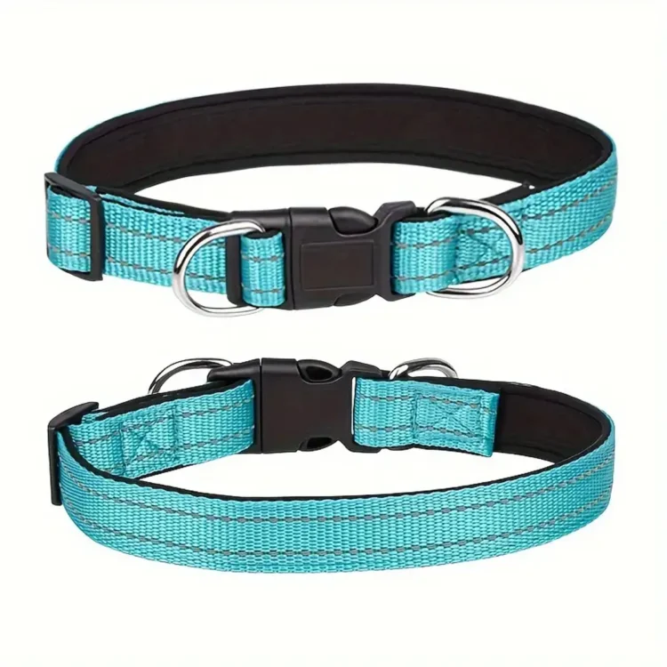 Turkis premium polstret halsbånd med refleks og dobbel D-ring (L)