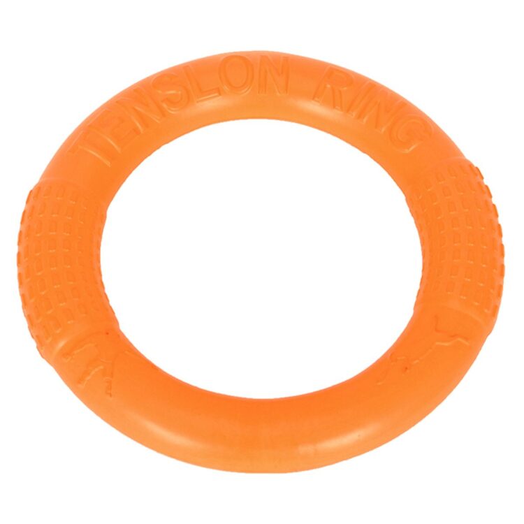 Oransj Stor gummiring hundeleke