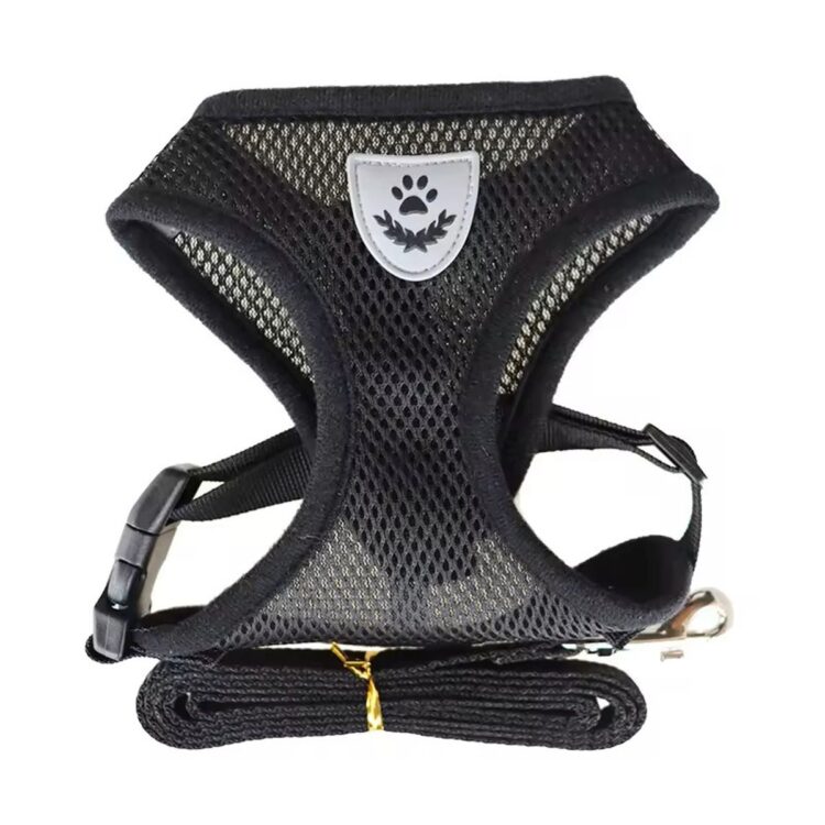 Sort sele og lenke i mesh til hund og katt (L)