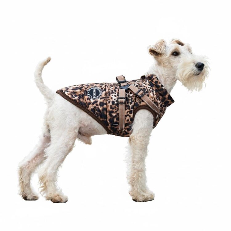 Leopard print hundedekken med integrert sele (2XL)