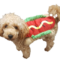Hotdog hundekostyme (L)
