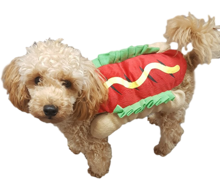Hotdog hundekostyme (L)