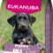 Eukanuba Puppy Large Breed kylling 12 kg