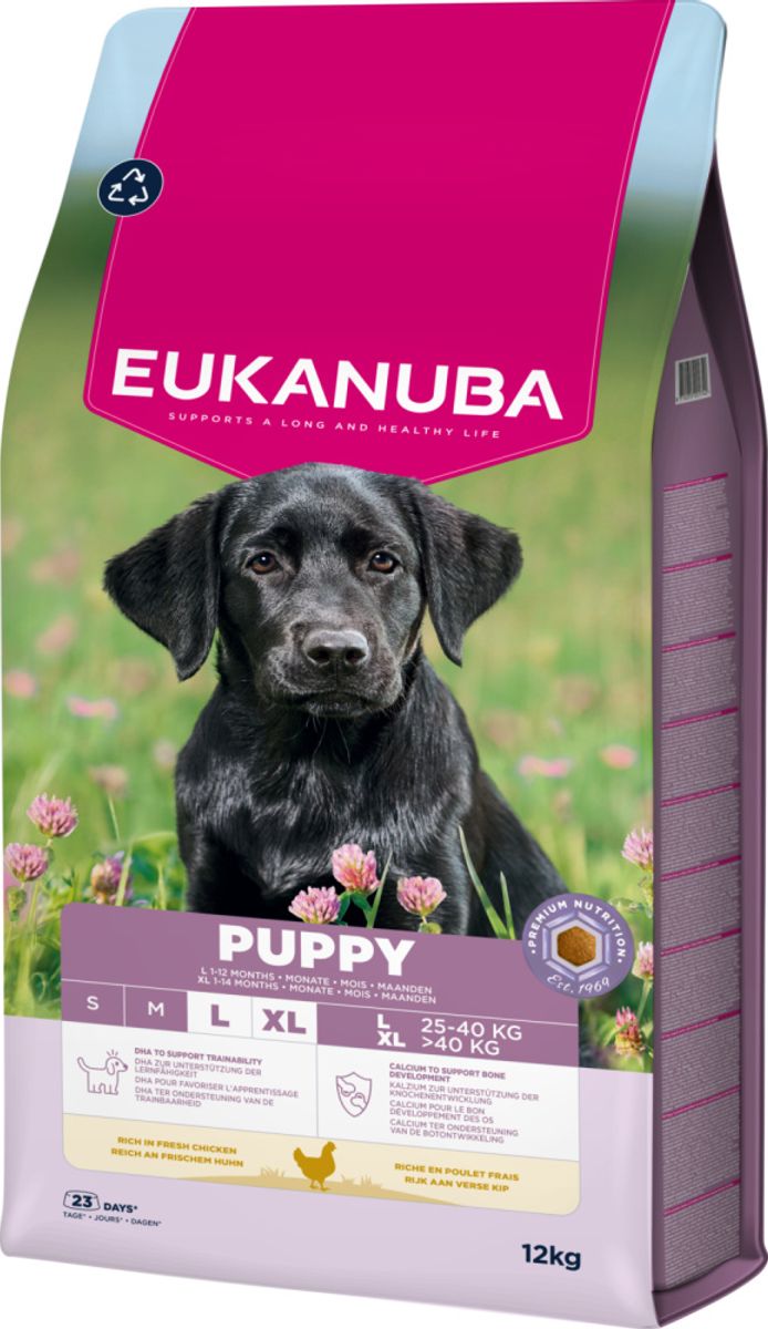 Eukanuba Puppy Large Breed kylling 12 kg
