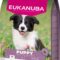 Eukanuba Puppy Medium Breed kylling 12 kg