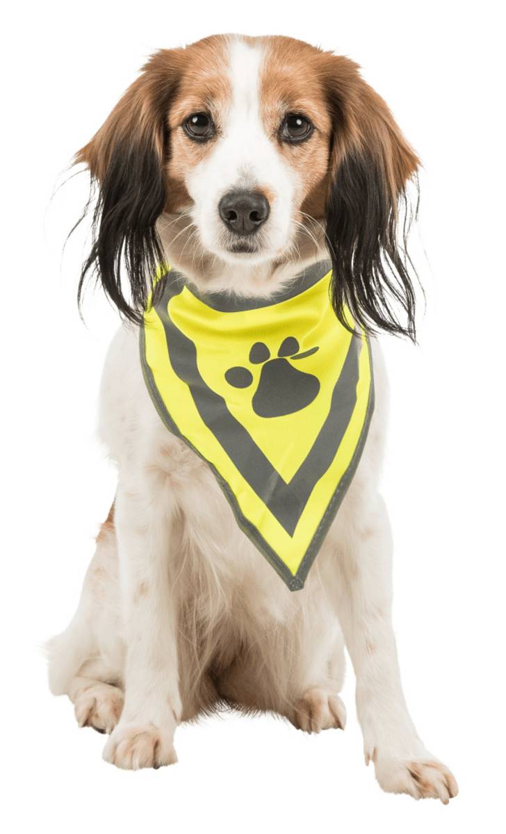 Gul refleks bandana for hund